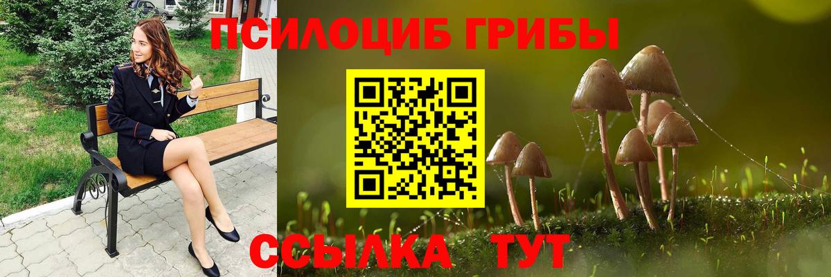 Воркута  Псилоцибиновые грибы Psilocybe  Вход с VPN 
